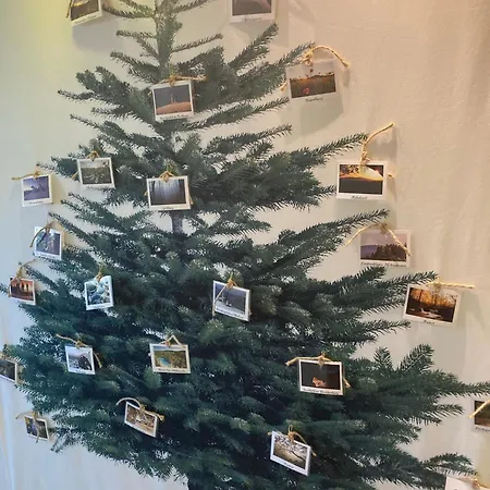 Waldhoehe -sonniger Balkon-boxspringbett-ladestation E-auto Lejlighed Bad Harzburg