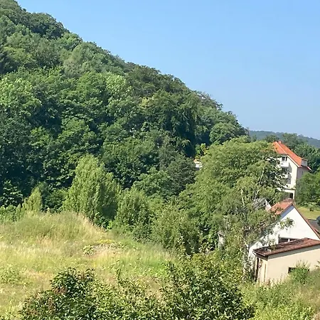 Apartamento Ferienwohnung Waldhoehe -Boxspringbett-Ladestation E-Auto Bad Harzburg