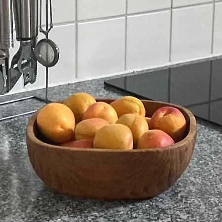 Waldhoehe -sonniger Balkon-boxspringbett-ladestation E-auto *