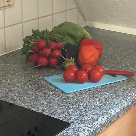 Waldhoehe -sonniger Balkon-boxspringbett-ladestation E-auto Appartement Bad Harzburg