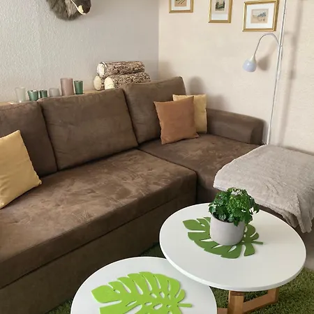 Waldhoehe -sonniger Balkon-boxspringbett-ladestation E-auto * Bad Harzburg