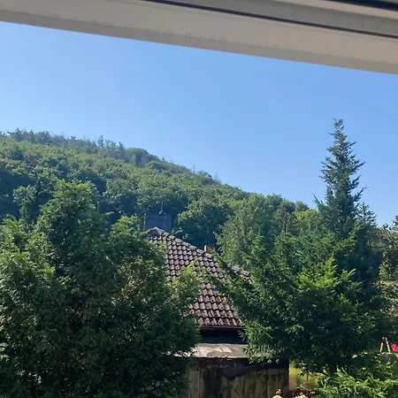 Ferienwohnung Waldhoehe -Boxspringbett-Ladestation E-Auto Bad Harzburg