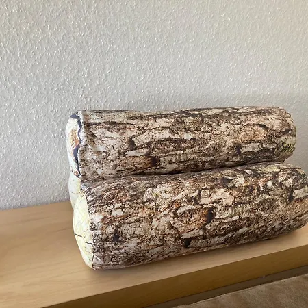 Ferienwohnung Waldhoehe -Boxspringbett-Ladestation E-Auto Bad Harzburg