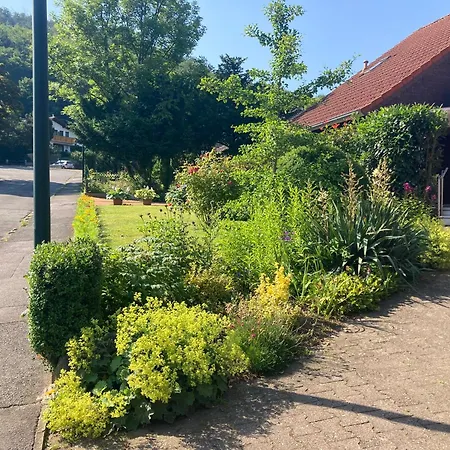 Waldhoehe -sonniger Balkon-boxspringbett-ladestation E-auto * Bad Harzburg
